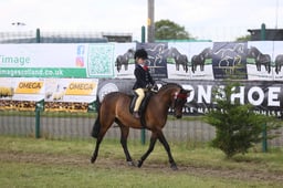 564 HOYS SP First Ridden
