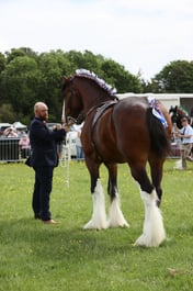 E36_1070 2026