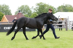 W29_0747 2026