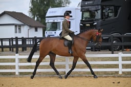 A66_1865 2026