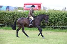 43 Tattersalls RIHS Open Ridden