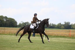93 RES VAN DE LIPPERTHOEVE