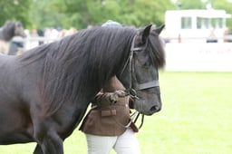 W29_1070 2026