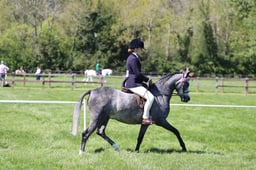 C19_1405 2026
