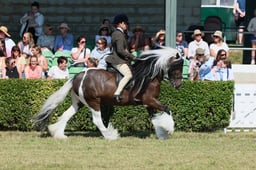 S61_0744 2026