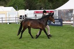 W29_0564 2026