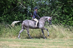 S60_0742 2026