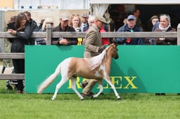S28_8732 2026