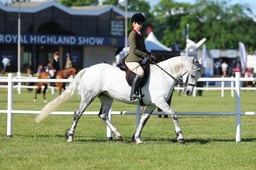 562 HOYS JNR Ridden M&M Large Breeds