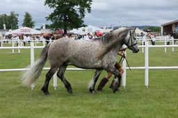 M44_0769 2026