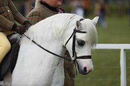 E30_3571 2026