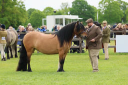 S29_0677 2026