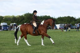 E36_0456 2026