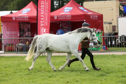 E34_3041 2026