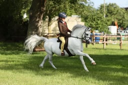H29-25 HOYS M&M WHP CHAMPIONSHIP