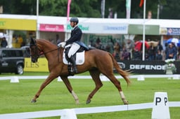 133 LAGANS RICE STAR