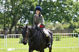 A42_1885 2026