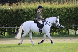 M36_0330 2026
