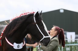 E36_1020 2026
