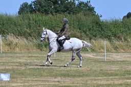 S60_0530 2026