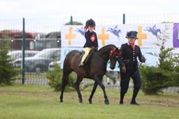 Show Pony Mini Championship