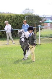 J36_6030 2026