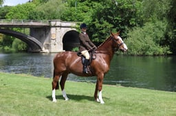 M28_0016 2026