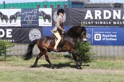 E47_2055 2026