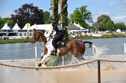 H21_4297 2026