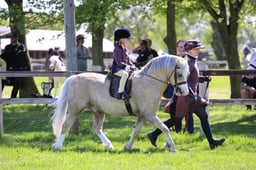 C19_1728 2026