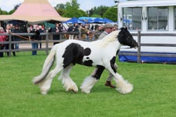 S28_8633 2026