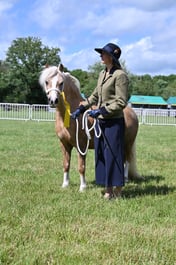 A41_3211 2026