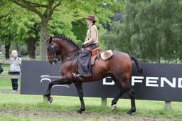 CL 116 Lusitanos Parade Class