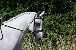 S60_0378 2026