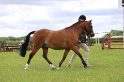 J36_5840 2026