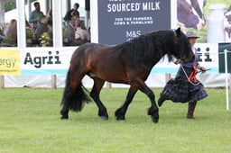 M44_0958 2026