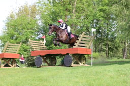 321 TODD