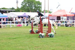 H43_1650 2026