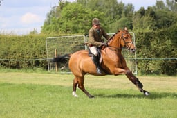 M36_4812 2026