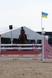 Toppie-Top van het Harteveld