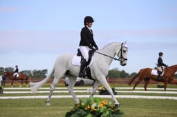A20_0297 2026