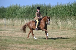 S60_0196 2026