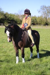 83-82 HOYS M&M Mini Championship