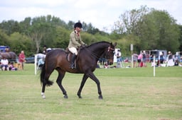 W36_1934 2026