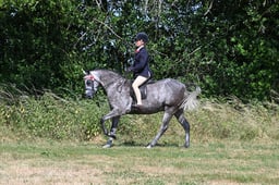 S60_0460 2026