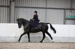 Class 54 RIHS Ladies Hunter