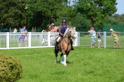 125 M&M WHP Mixed Height Novice