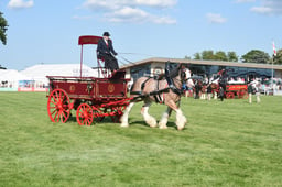 HHT Farm Carts & Singles