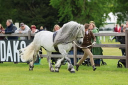 S29_0577 2026