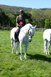 M19_0664 2026